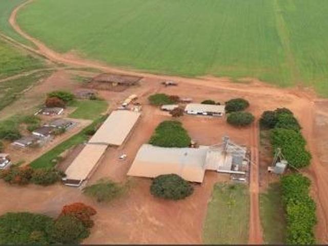 Sítio e chácara venda em Região Geográfica Imediata de Luziânia, Região Integrada de Desenvolvimento do Distrito Federal e Entorno