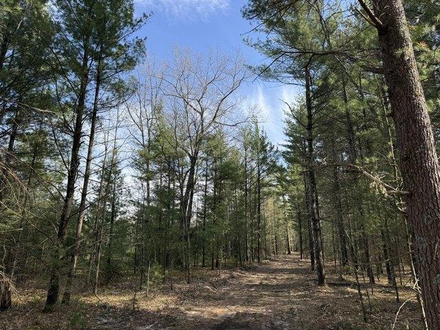 Land for sale in Manistee, Michigan