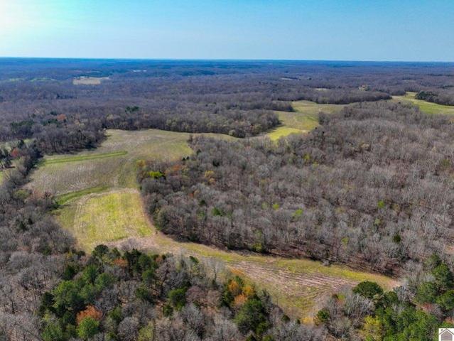 Land for sale in Hazel, Kentucky
