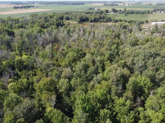 Land for sale in Bad Axe, Michigan