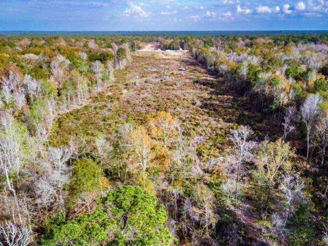 Land for sale in Conroe Land for sale in Conroe