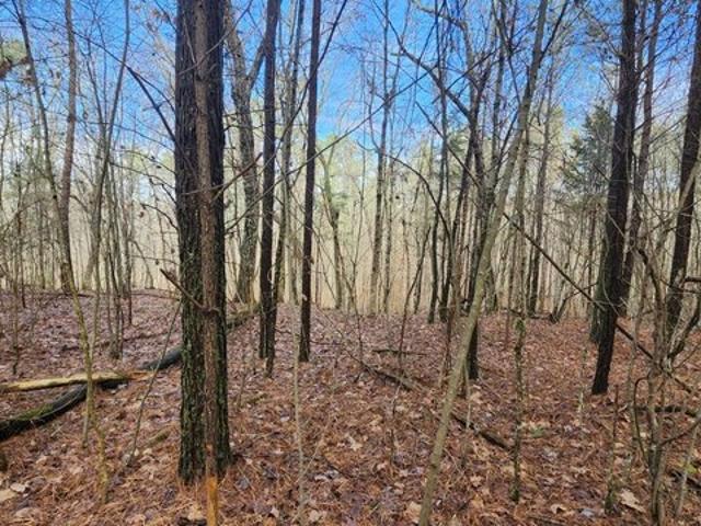 Land for sale in Tennessee