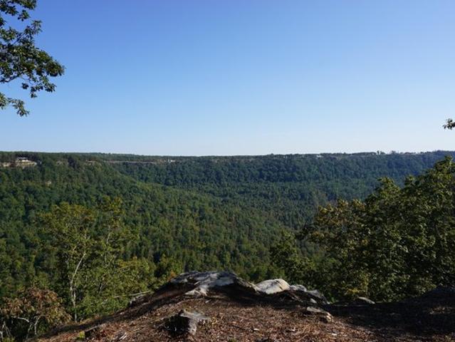 Land for sale in Tennessee