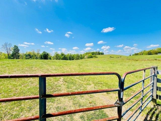 Land for sale in Glens Fork, Kentucky