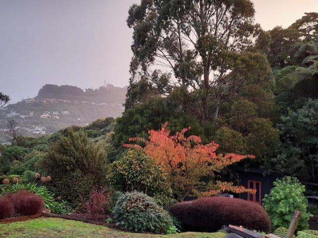 Apartment for rent in Matata, Wellington