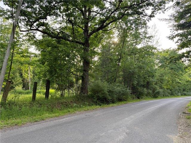 Land for sale in Centerville, New York