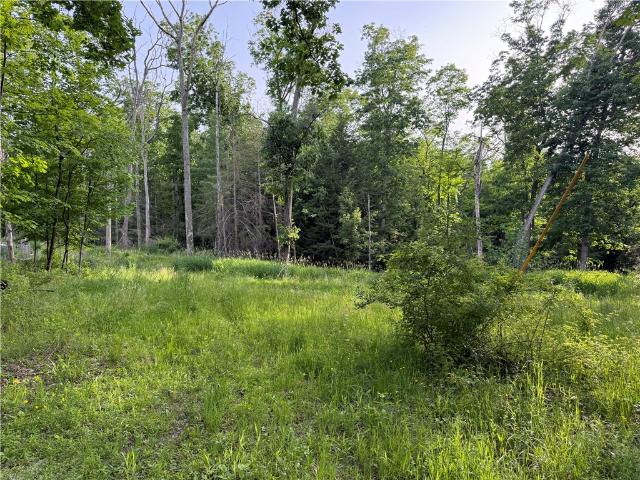 Land for sale in Caneadea, New York