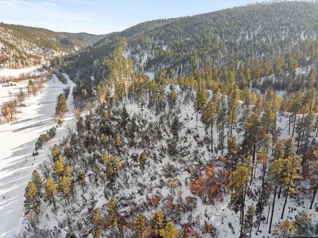 Land for sale in Whitewood, Lawrence County