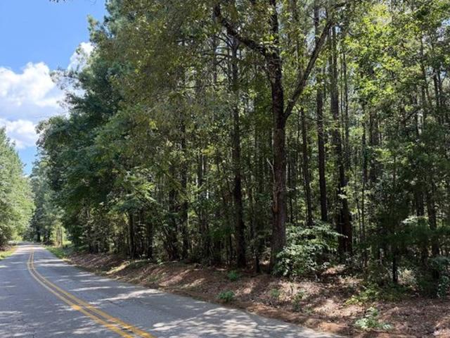 Land for sale in Evangeline, Louisiana