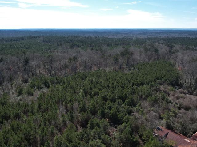 Land for sale in Newhebron, Mississippi