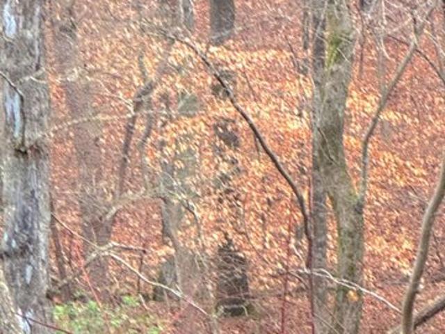 Land for sale in Pickens, Georgia