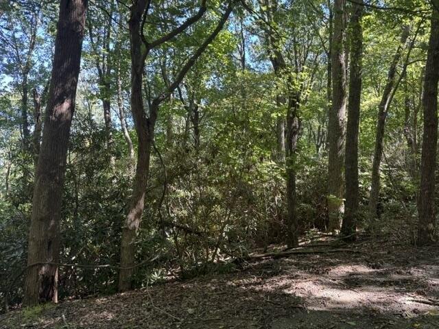 Land for sale in Hillsville, Carroll County