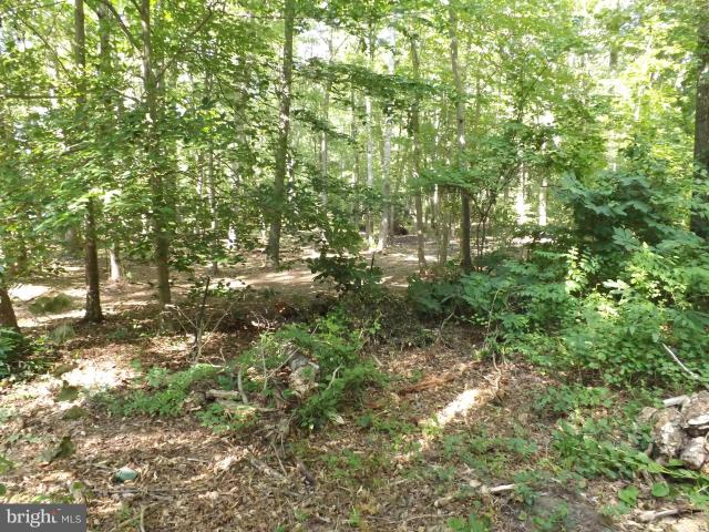 Land for sale in Brandywine, Maryland