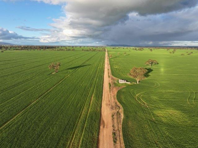 Acreage for sale in Grenfell, New South Wales