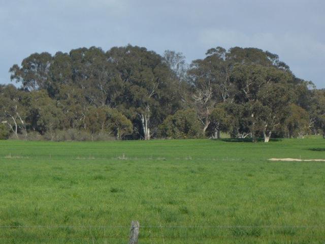 Acreage for sale in Cadgee, Naracoorte Lucindale Council