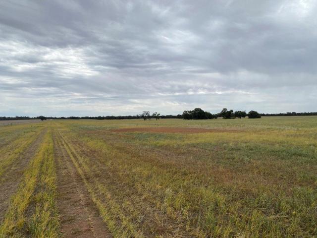Cottage for sale in Rich Avon East, Victoria