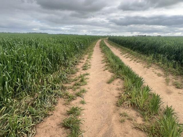 Acreage for sale in Netherton, South Australia