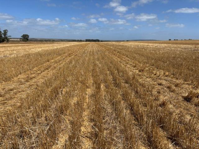 Land for sale in Wanilla, South Australia