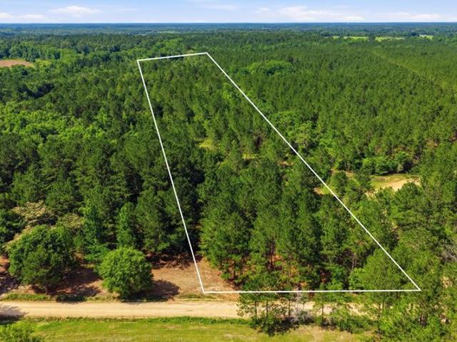 Land for sale in Opp, Alabama