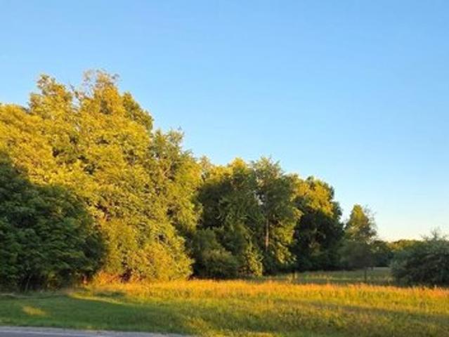 Land for sale in Burton, Michigan