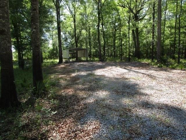 Land for sale in Jonesville, Louisiana