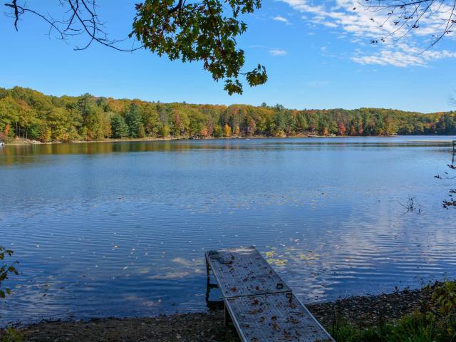 Land for sale in Michigan
