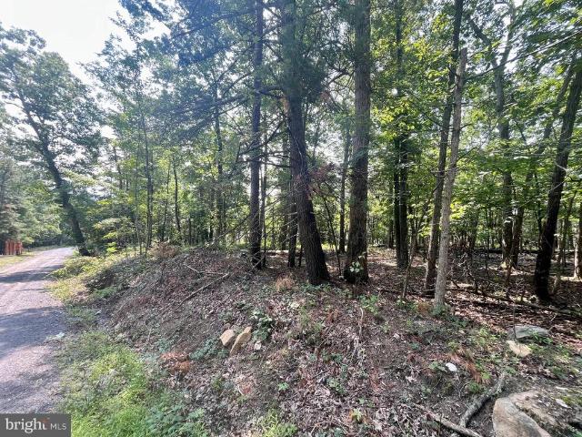 Land for sale in Virginia