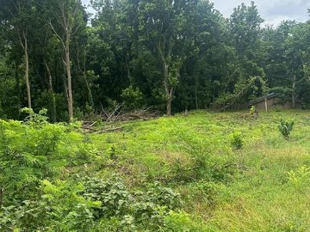 Land for sale in Vicksburg, Mississippi