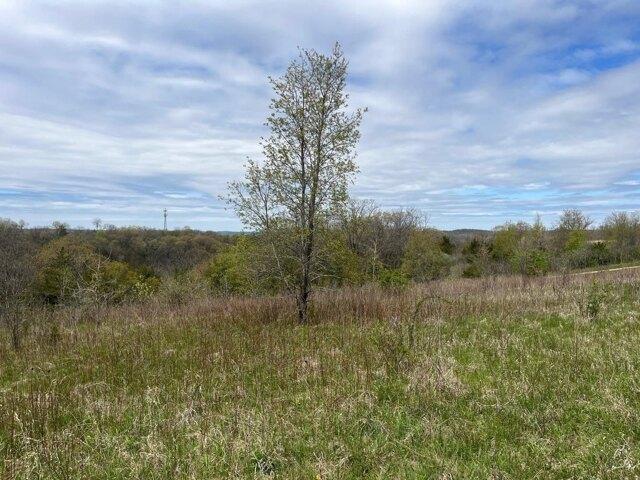 Land for sale in Cross Plains, Wisconsin