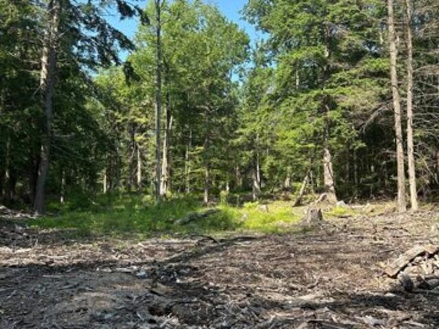 Land for sale in Maryland