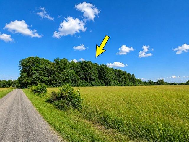 Land for sale in Vevay, Indiana