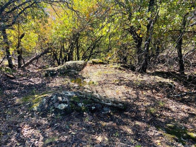 Land for sale in Bowie, Texas