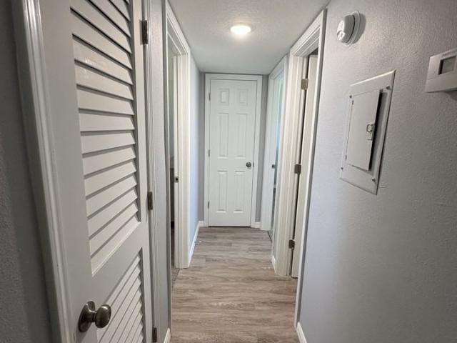 Apartment for rent in Saint Petersburg, Pinellas County
