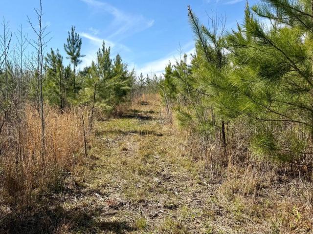 Land for sale in Choctaw, Mississippi