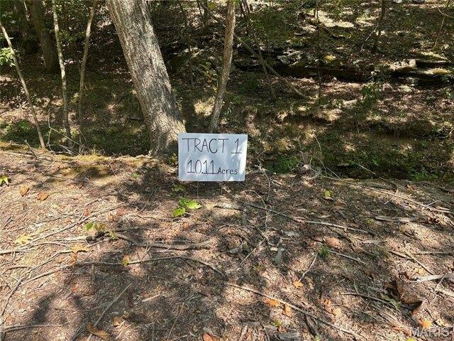 Land for sale in Barnhart, Missouri