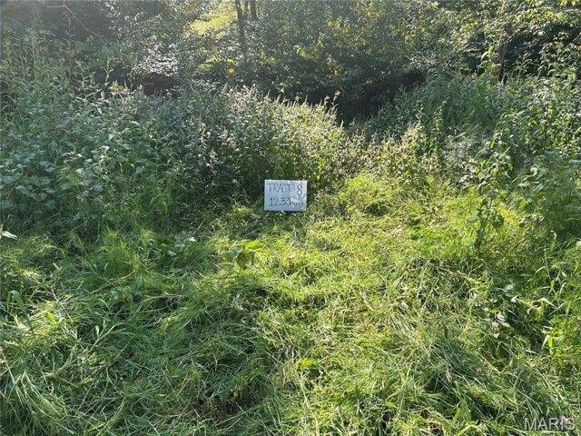 Land for sale in Barnhart, Missouri