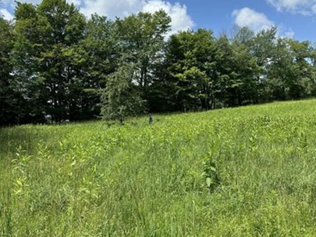 Land for sale in Lakewood, Preston Township