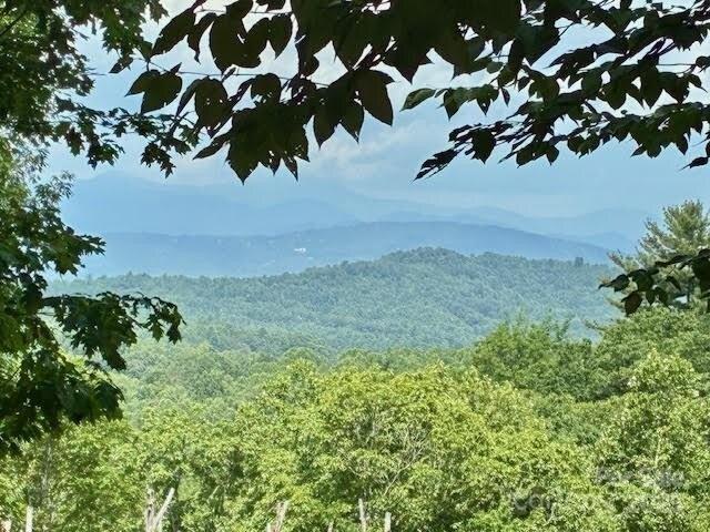 Land for sale in Hendersonville