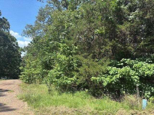 Land for sale in Franklin, Texas