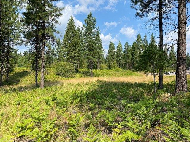 Land for sale in Troy