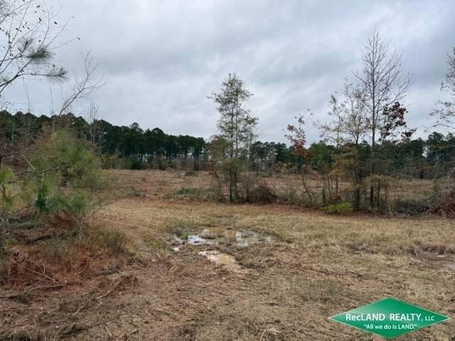 Land for sale in Marion, Louisiana