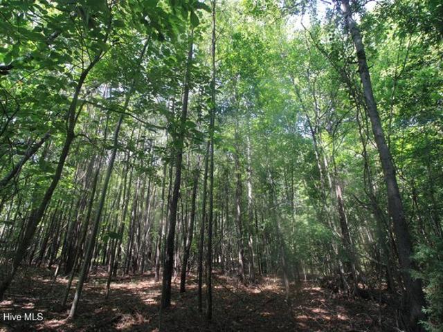 Land for sale in Carthage, North Carolina