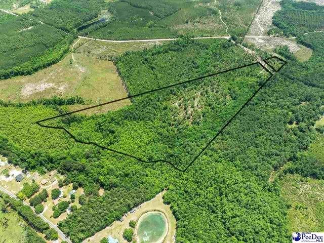 Land for sale in Patrick, South Carolina