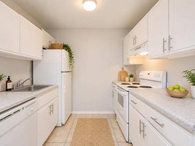 Apartment for rent in Tampa, Hillsborough County