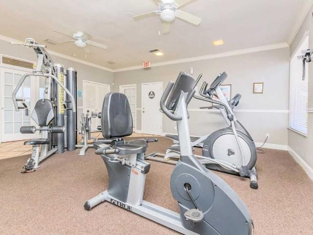 Apartment for rent in Tampa, Hillsborough County