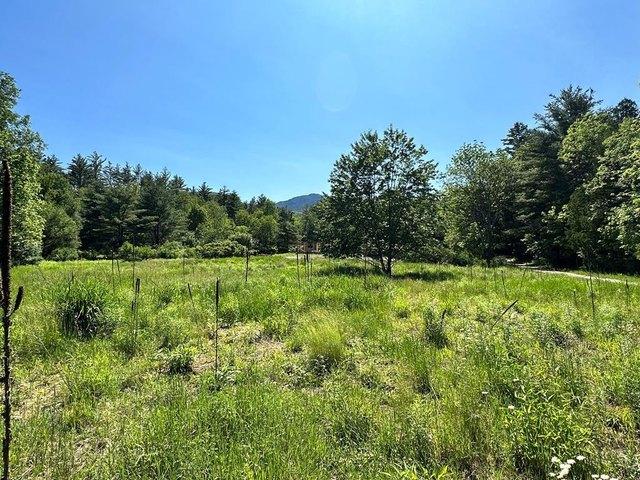 Land for sale in Essex, New York