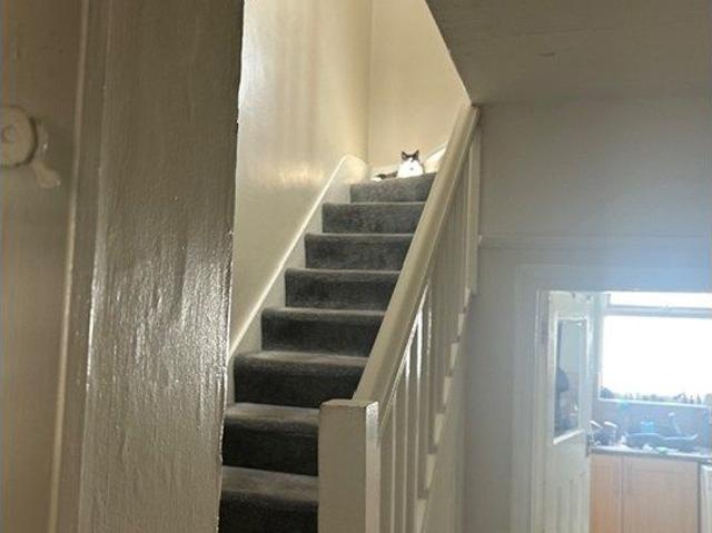Room for rent in Elmers End, Greater London