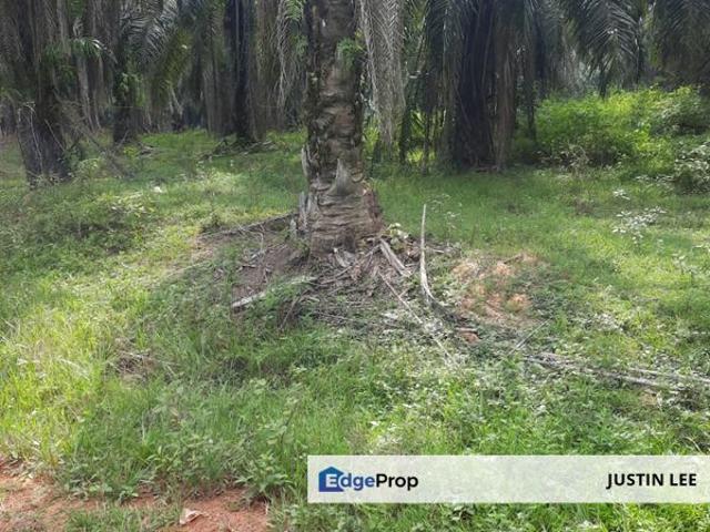 Shop for sale in Jerantut, Pahang