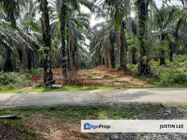 Shop for sale in Jerantut, Pahang