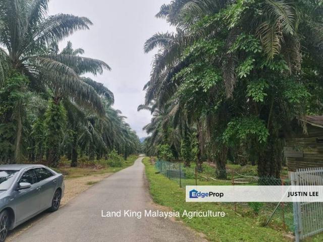 Shop for sale in Temerloh, Pahang